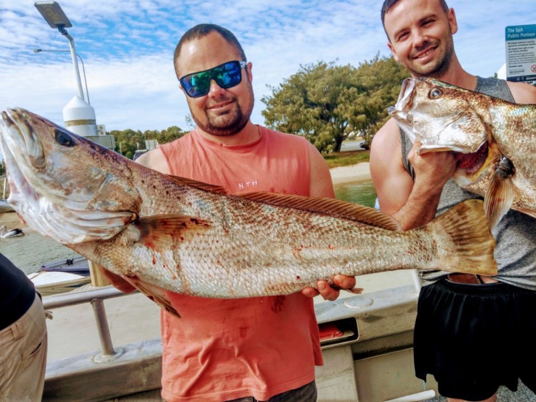 Two anglers holding jewfish and pearl perch